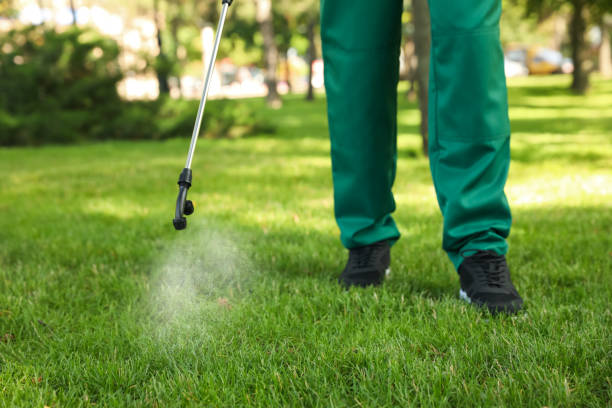 Best Local Pest Control Services  in Longview Heights, WA