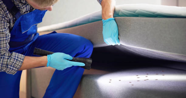 Best Exterminator Services  in Longview Heights, WA